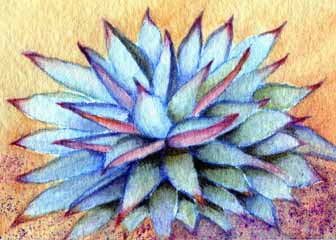 "Sedona Agave" by Susan Nitzke, Cottage Grove WI - Watercolor